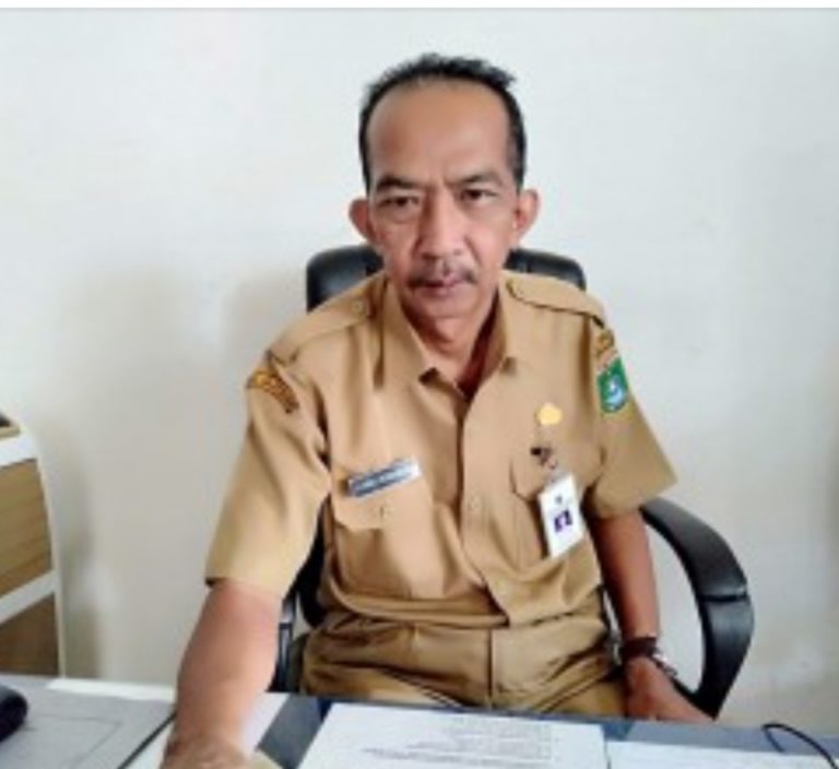 Harga Kebutuhan Pokok Akhir September Terpantau Stabil