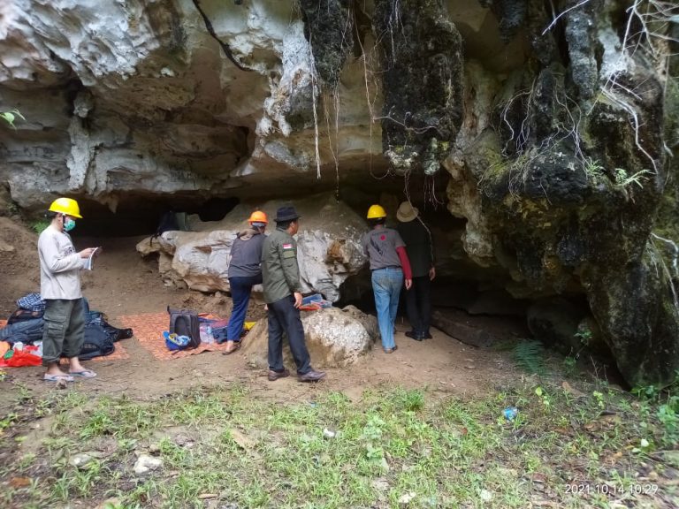 Riset dan Teknologi Universitas Negeri Malang Teliti Lukisan Dinding Gua di Tanah Bumbu