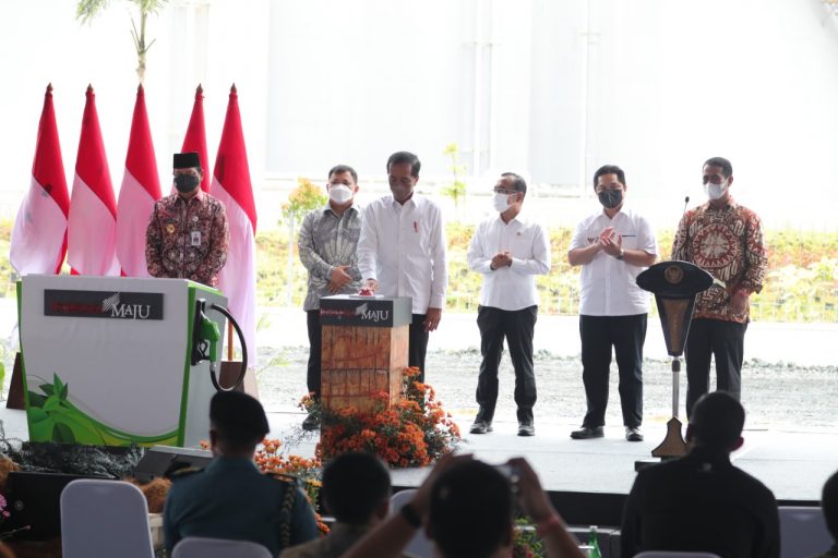 Didampingi Menteri BUMN, Jokowi Resmikan Pabrik Biodiesel di Tanah Bumbu