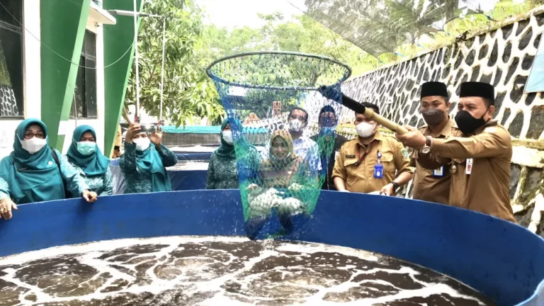 Uji Coba Teknologi Bioflok Dinas Perikanan Tanbu Panen Perdana