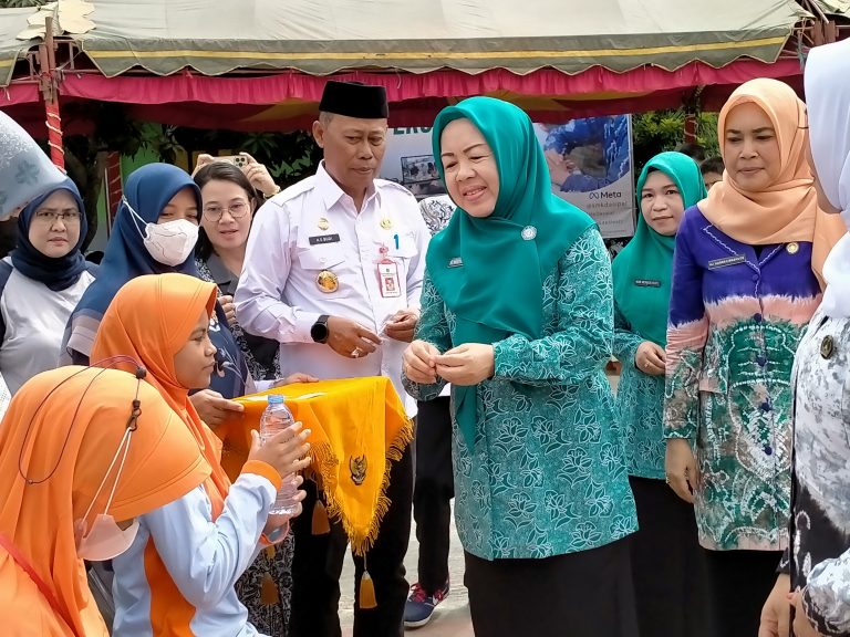 Cegah Anemia Pada Remaja Putri Melalui Aksi Bergizi Pemberian TTD 