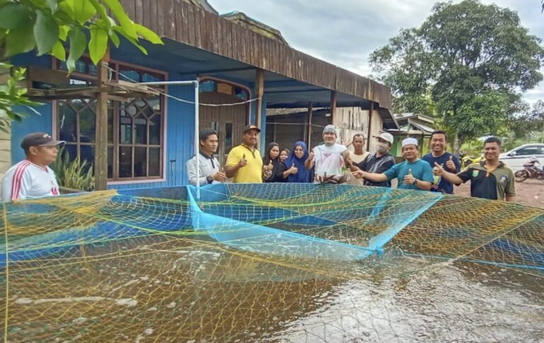 Ketahanan Pangan Desa Mantewe Panen Perdana Ikan Nila Bioflok