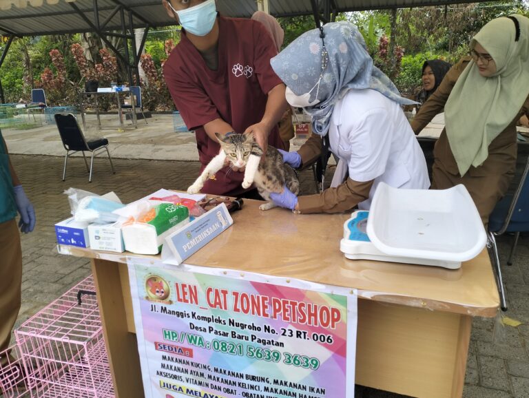 Dinas KPP : Vaksinasi Rabies Memberikan Perlindungan Pemilik Hewan dan Sekitarnya  
