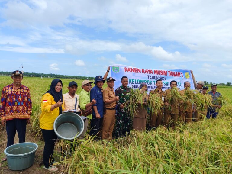 Camat Angsana Taryono Hadiri Panen Raya Desa Sumber Baru
