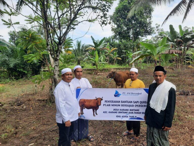 Idul Adha 1445 H, PT.Air Minum Bersujud Sumbang 2 Ekor Hewan Qurban