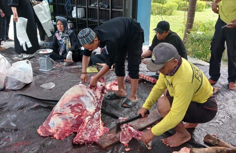 Petugas Kebersihan Kantor Bupati Tanah Bumbu Berkurban Delapan Ekor Sapi