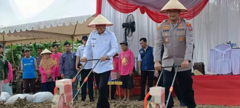 Tanah Bumbu Tanam Jagung Serentak Kuartal III, Dukung Ketahanan Pangan Nasional