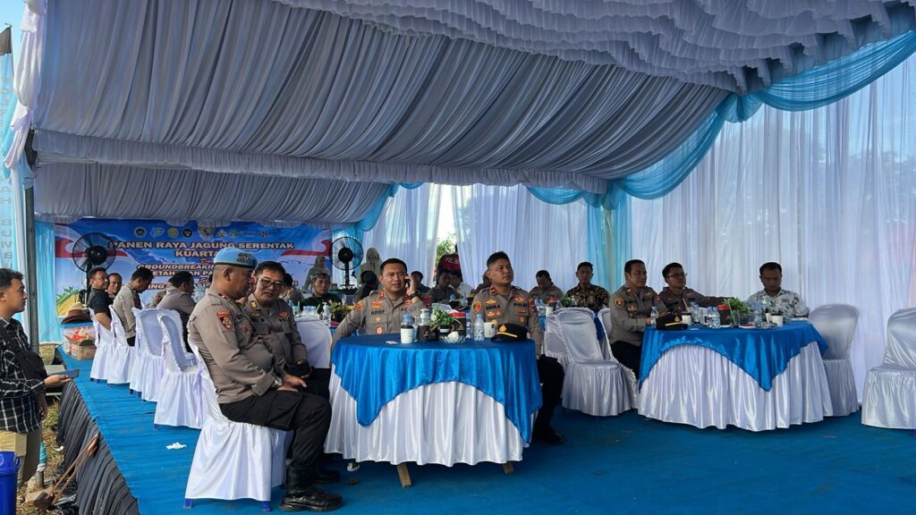 Panen Raya Jagung Serentak, Polres Tanah Bumbu Dukung Ketahanan Pangan dan Program Makan Bergizi Gratis 2