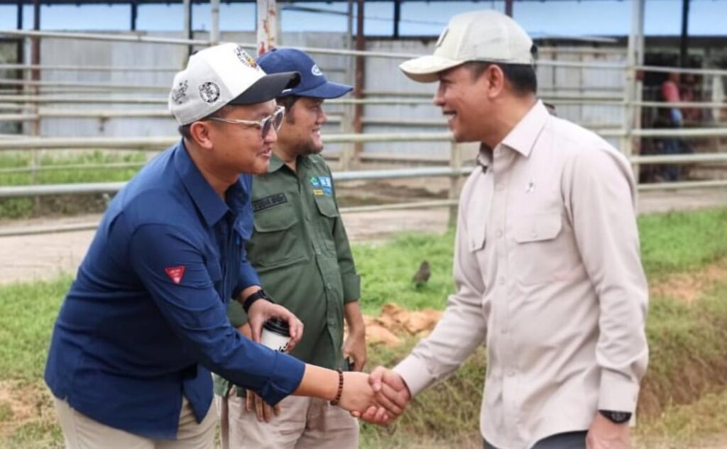 Wamenko Pangan Tinjau Pengembangan Integrasi Sawit-Sapi di Tanah Bumbu 1 Wamenko Pangan Tinjau Pengembangan Integrasi Sawit-Sapi di Tanah Bumbu