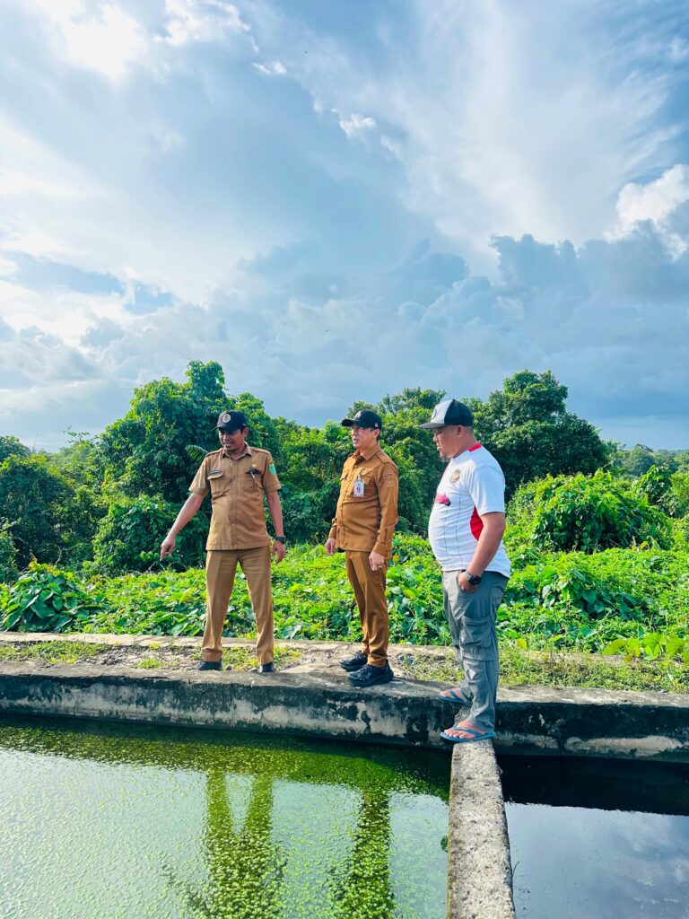 Monitoring dan Evaluasi TPA Satui, DLH Tanah Bumbu Siapkan Pembenahan Bertahap dan Pengembangan RDF