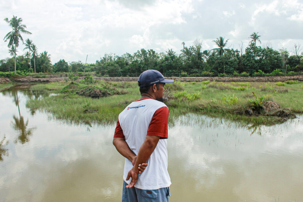 Pemkab Tanah Bumbu Tinggikan Tanggul, Petambak Kepiting Muara Pagatan Tak Lagi Cemas Air Pasang