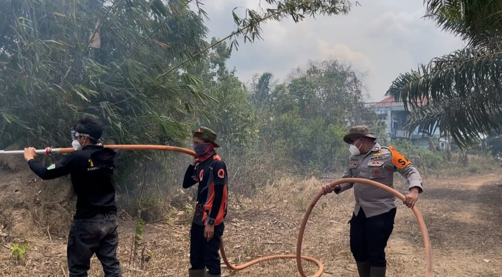 17 September, Karhutla Melanda Kelurahan Gunung Tinggi Batulicin, Seluas 3 Hektare 6