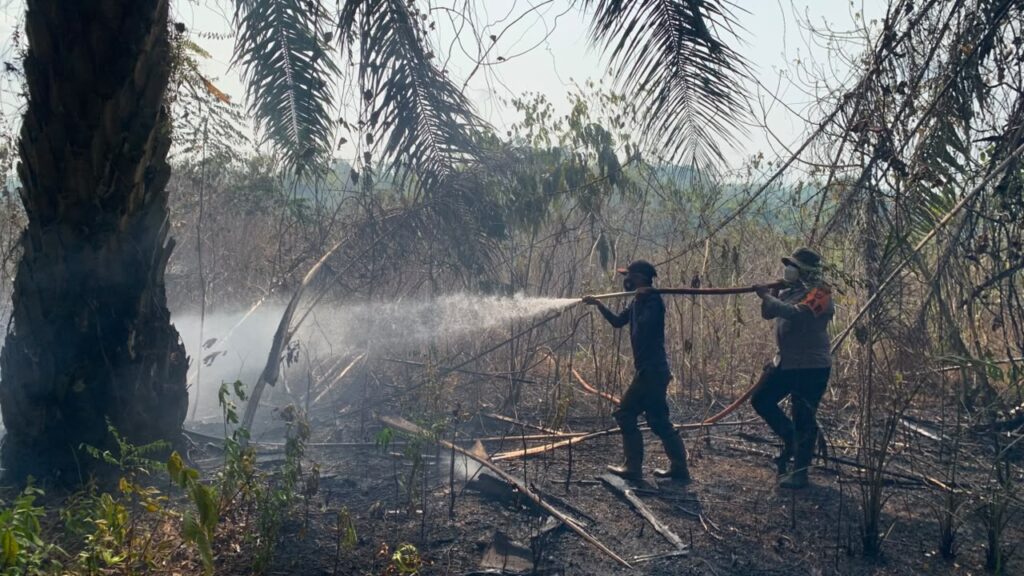 17 September, Karhutla Melanda Kelurahan Gunung Tinggi Batulicin, Seluas 3 Hektare 1