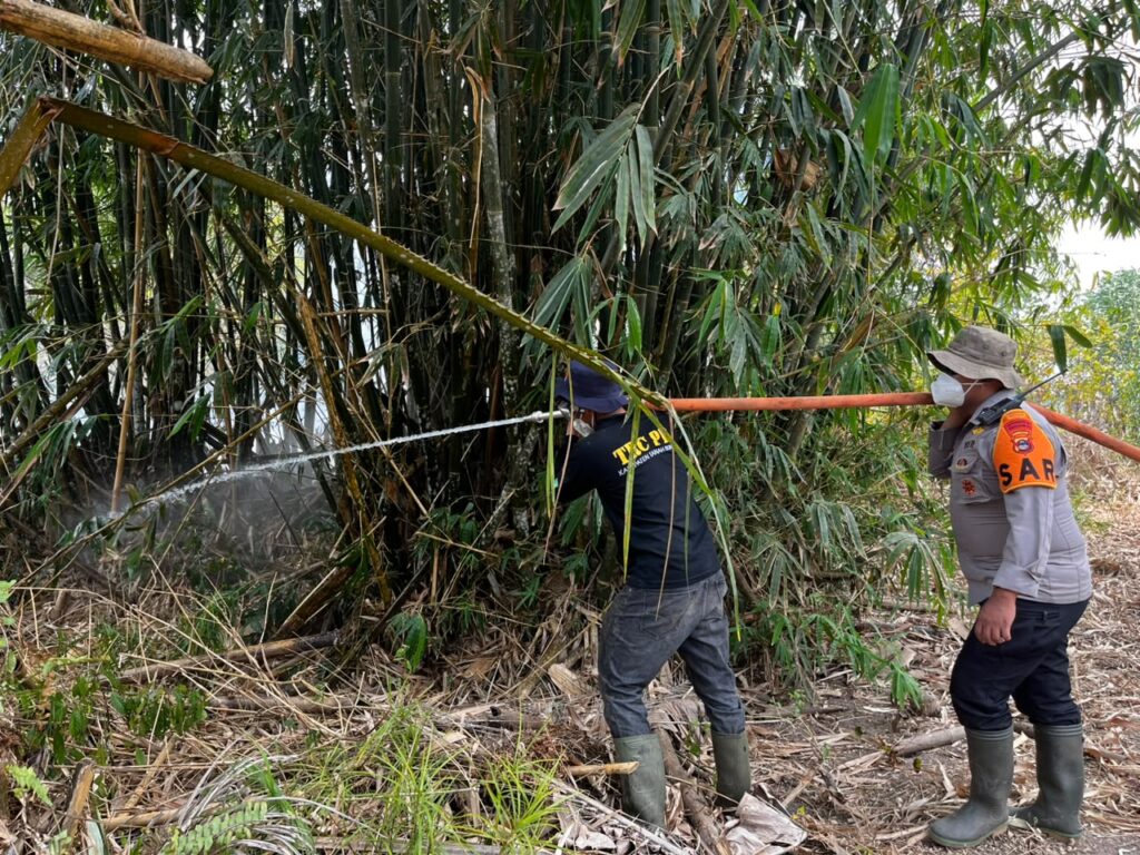 17 September, Karhutla Melanda Kelurahan Gunung Tinggi Batulicin, Seluas 3 Hektare 5