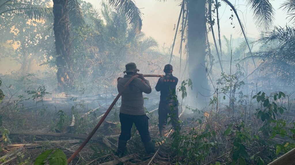 17 September, Karhutla Melanda Kelurahan Gunung Tinggi Batulicin, Seluas 3 Hektare 4