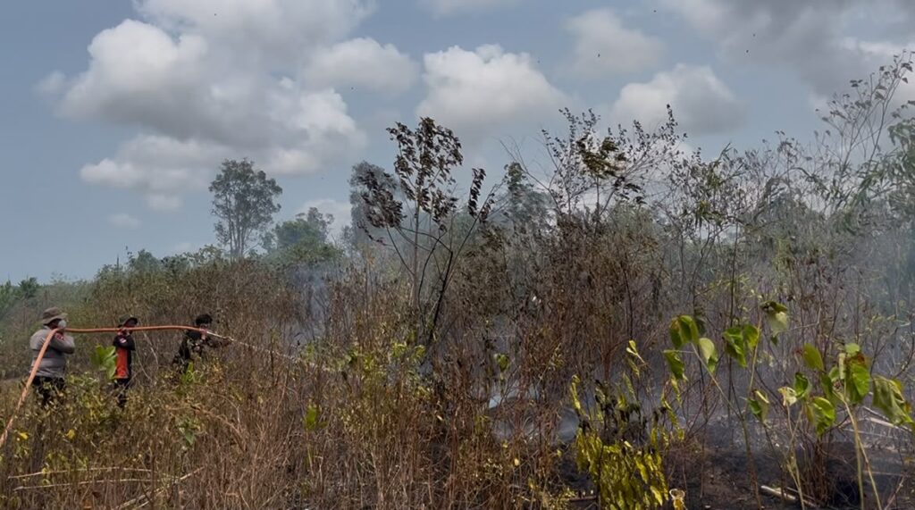 17 September, Karhutla Melanda Kelurahan Gunung Tinggi Batulicin, Seluas 3 Hektare 8