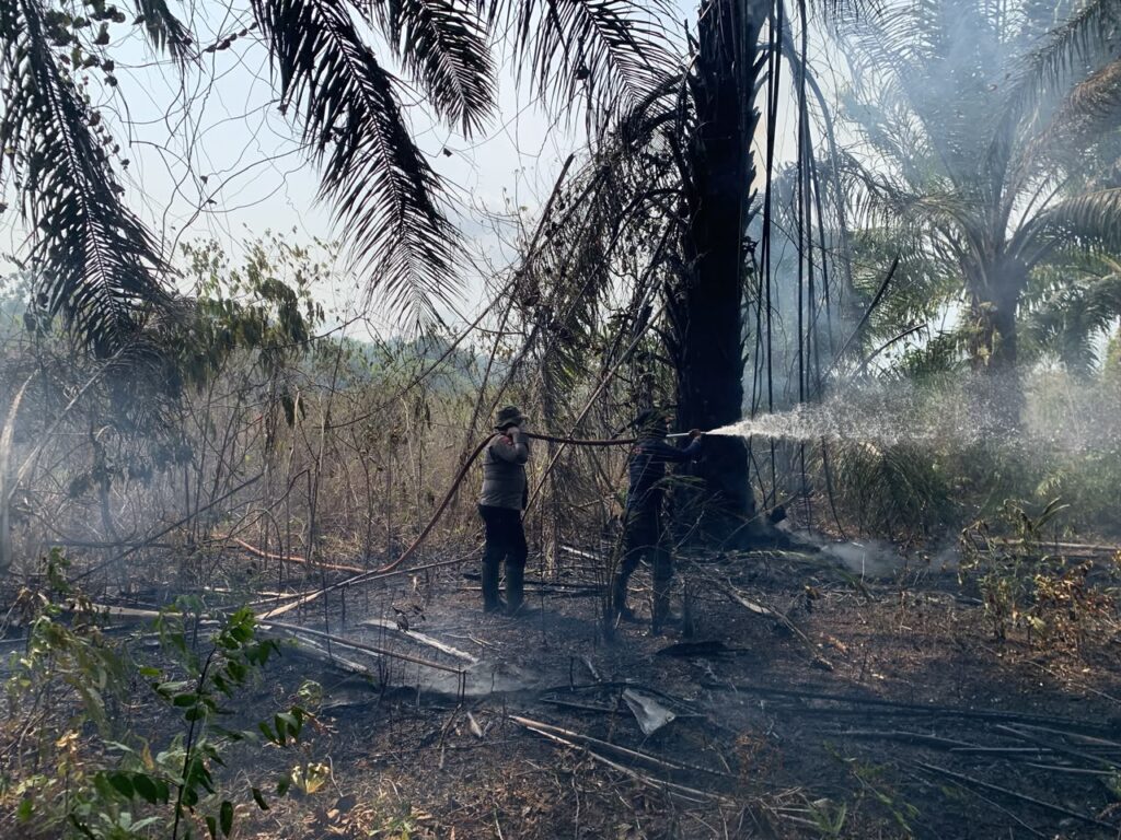 17 September, Karhutla Melanda Kelurahan Gunung Tinggi Batulicin, Seluas 3 Hektare 2