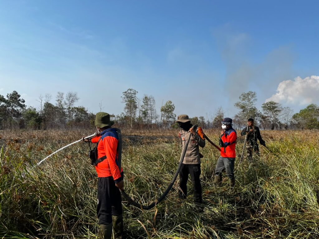 22 September, Kebakaran Lahan 5 Hektare di Polewali Batulicin Berhasil Dipadamkan 1 22 September, Kebakaran Lahan 5 Hektare di Polewali Batulicin Berhasil Dipadamkan