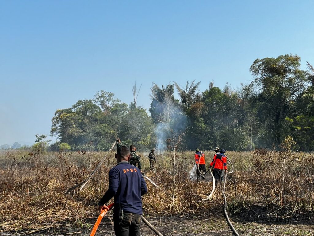 22 September, Kebakaran Lahan 5 Hektare di Polewali Batulicin Berhasil Dipadamkan 2 22 September, Kebakaran Lahan 5 Hektare di Polewali Batulicin Berhasil Dipadamkan