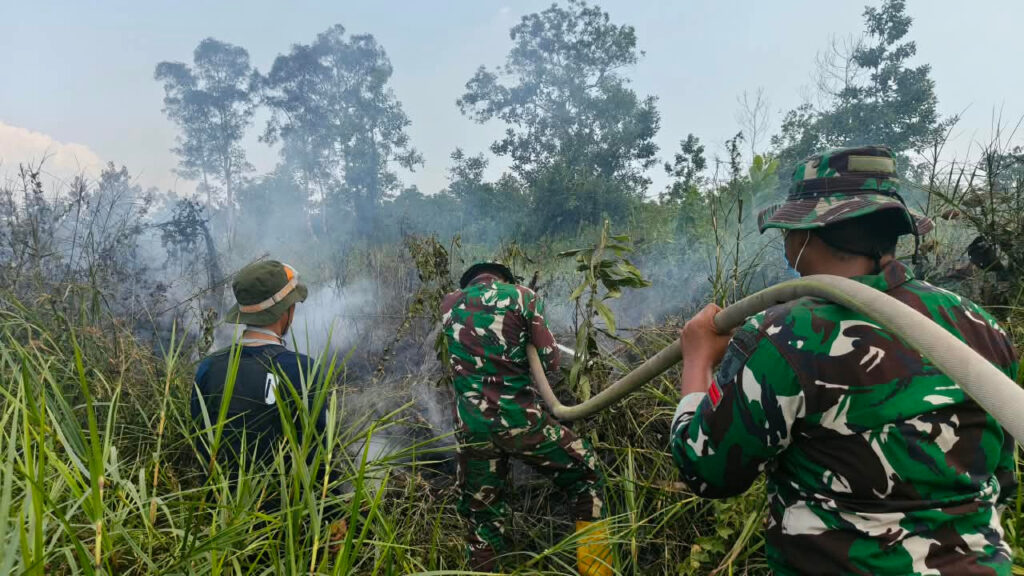 22 September, Karhutla Setengah Hektare di Jalan Lingkar 30 Berhasil Dipadamkan 1 22 September, Karhutla Setengah Hektare di Jalan Lingkar 30 Berhasil Dipadamkan