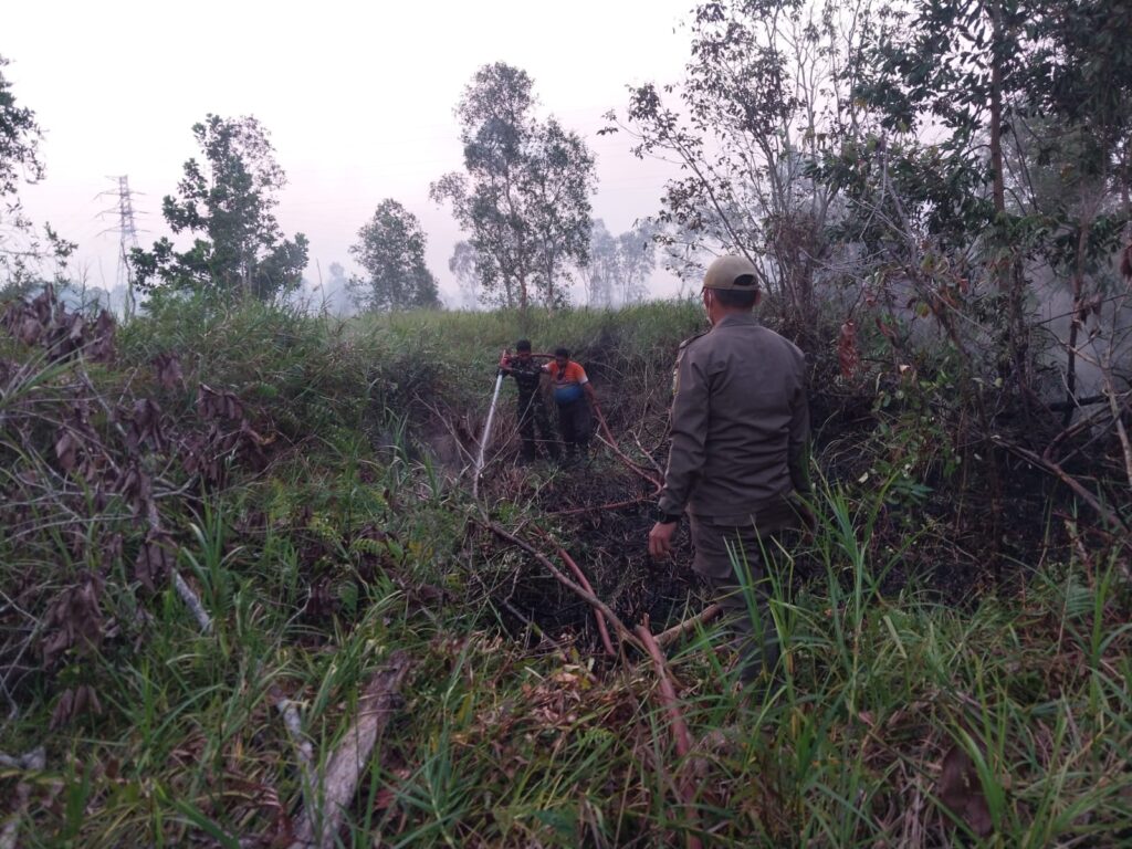 24 September, Karhutla 2 Hektare di Kersik Putih Batulicin Berhasil Dipadamkan 4