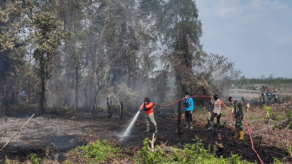 29 September, Kebakaran Lahan 0,5 Hektare di Desa Sukamaju Batulicin 2