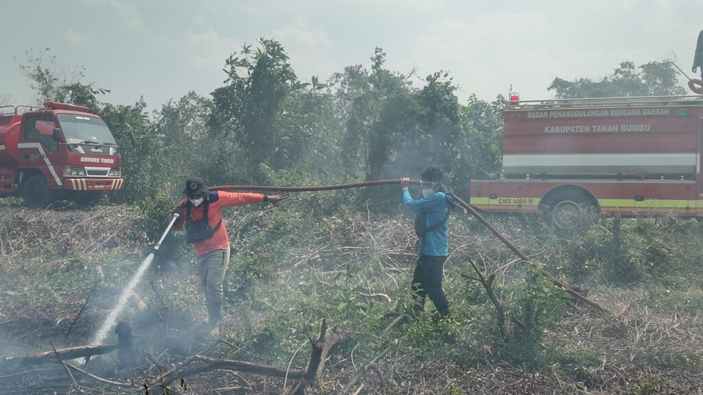 29 September, Kebakaran Lahan 0,5 Hektare di Desa Sukamaju Batulicin 1