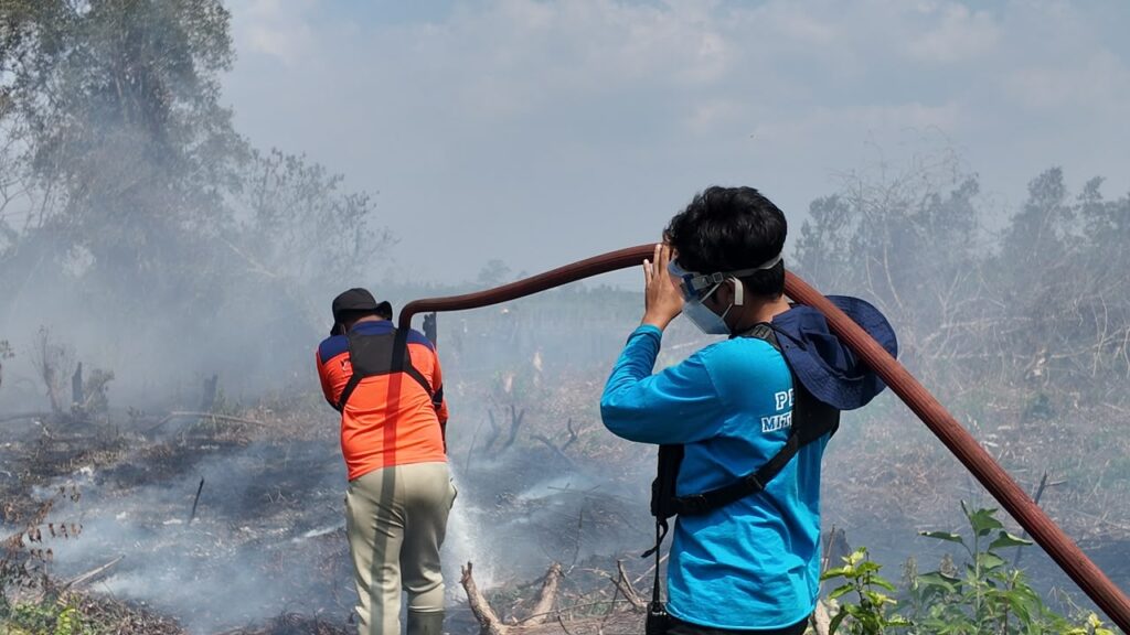 29 September, Kebakaran Lahan 0,5 Hektare di Desa Sukamaju Batulicin 4