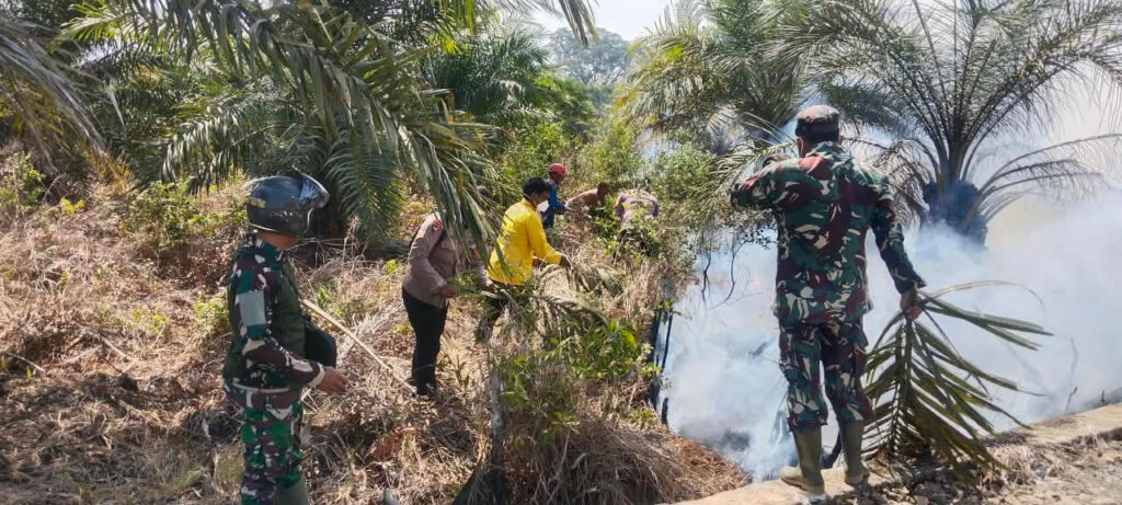 29 September, Kebakaran Lahan 8 Hektare di Kusan Tengah, Kendala Banyak Titik Api 1