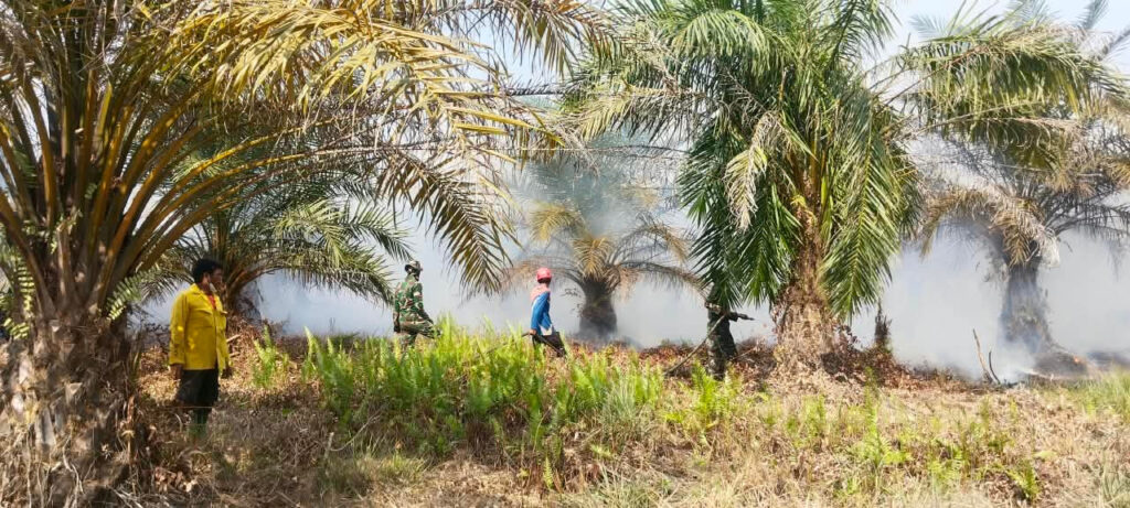 29 September, Kebakaran Lahan 8 Hektare di Kusan Tengah, Kendala Banyak Titik Api 2