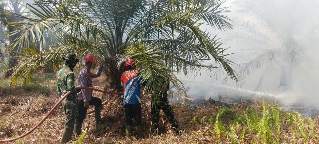 29 September, Kebakaran Lahan 8 Hektare di Kusan Tengah, Kendala Banyak Titik Api 4