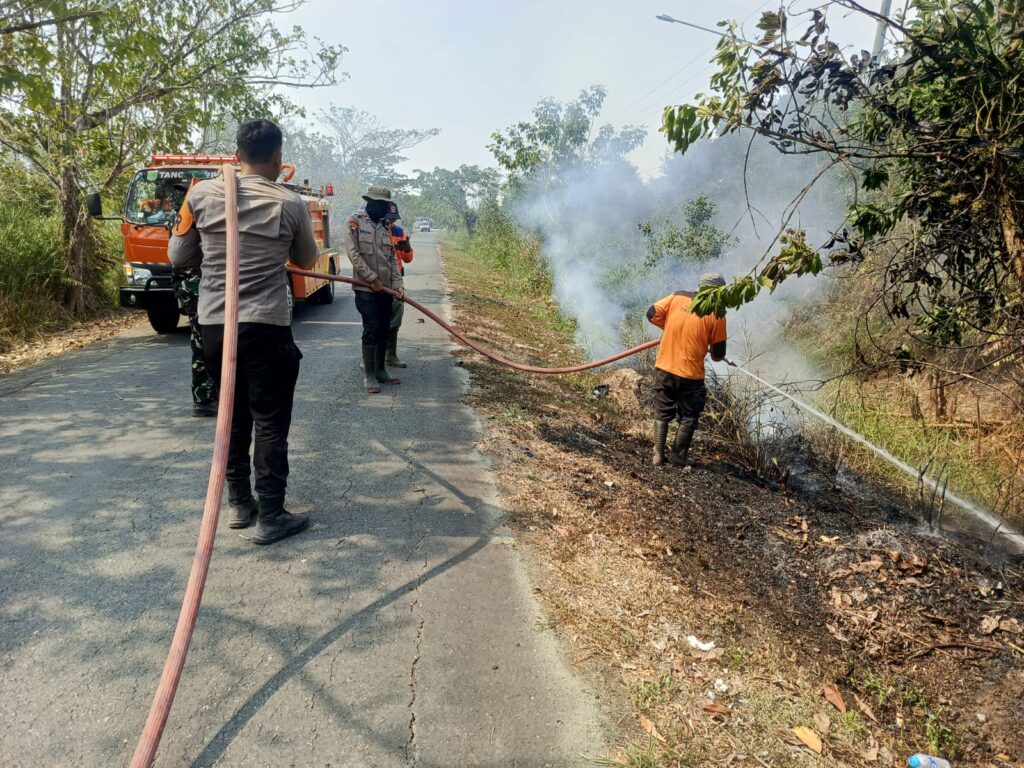 30 September, Kebakaran Lahan 5 Hektare di Jl. Arjuna Batulicin Berhasil Dikendalikan 3