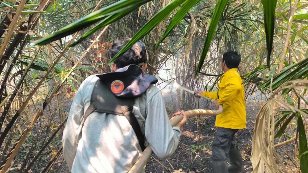 30 September, Kebakaran Lahan 5 Hektare di Jl. Arjuna Batulicin Berhasil Dikendalikan 2