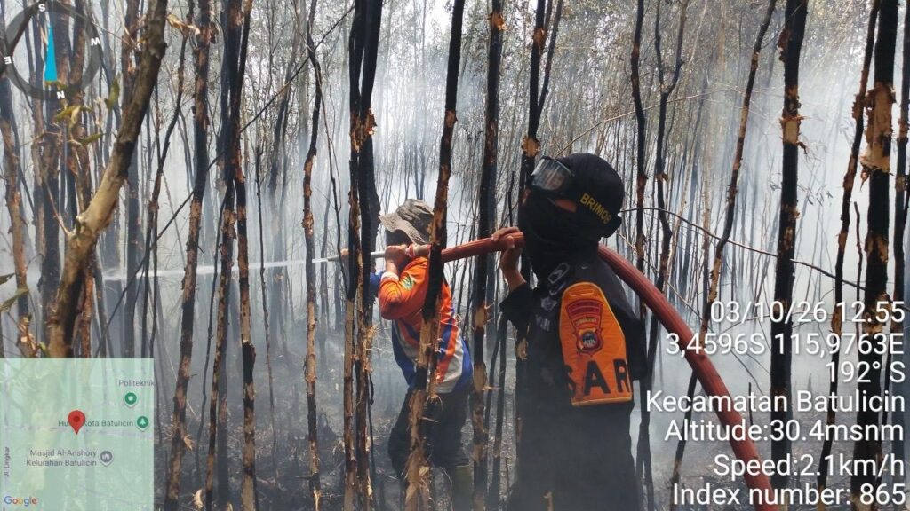 3 Oktober, Kebakaran Lahan 4 Ha di Jalan BKW Batulicin Berhasil Dipadamkan 2