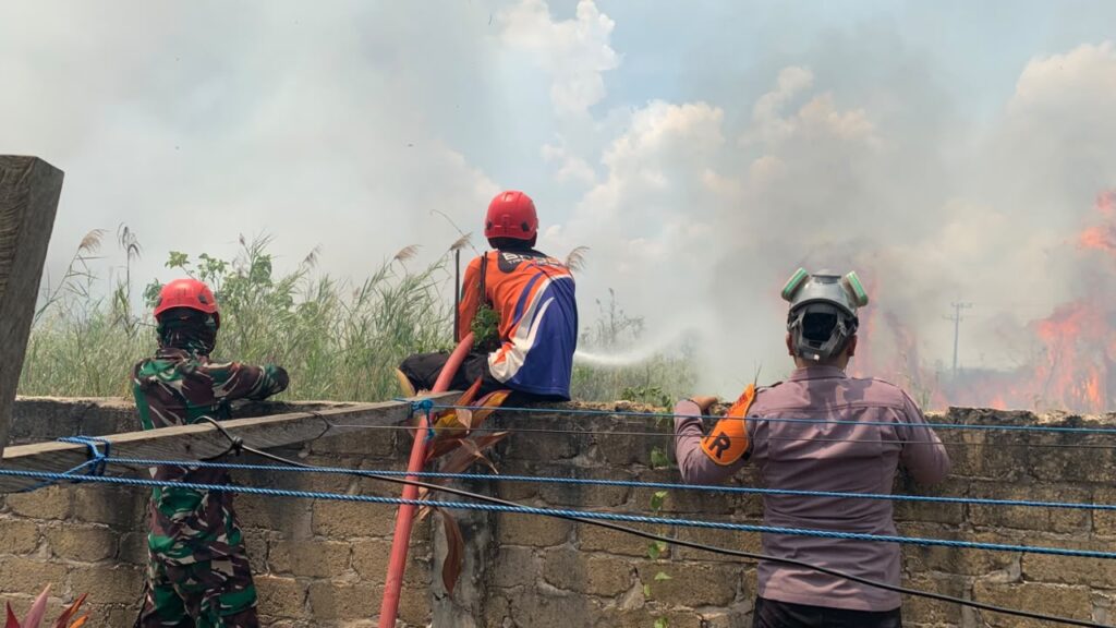 5 Oktober, Kebakaran 1 Hektare di Lingkar 30 Suka Maju Batulicin Kondusif 1