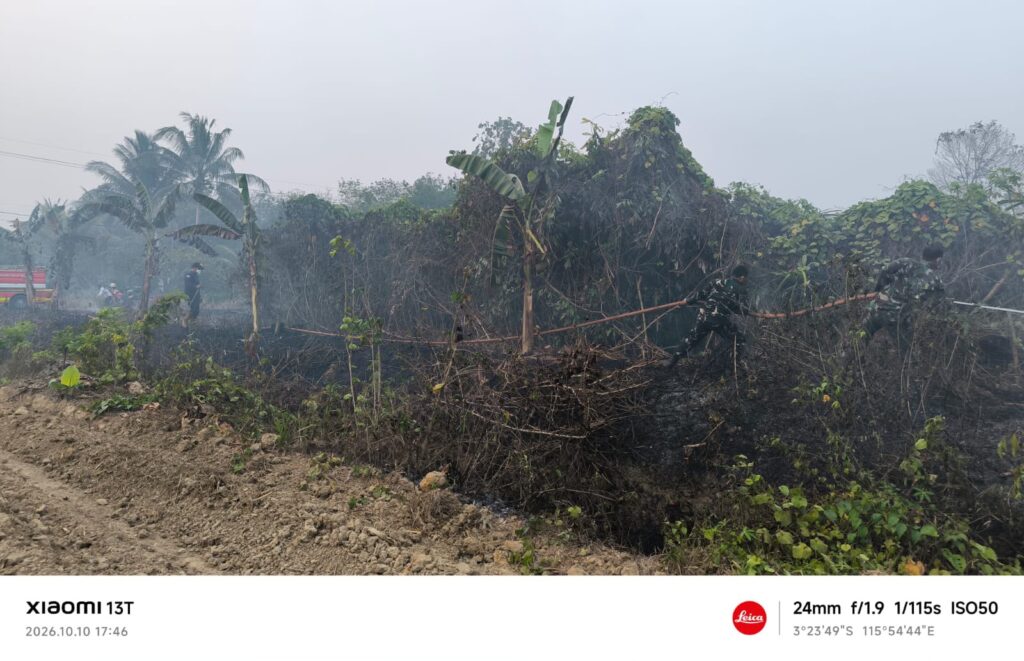 10 Oktober, Kebakaran Lahan 0,5 Hektare di Desa Suka Maju Batulicin Berhasil Dipadamkan 1