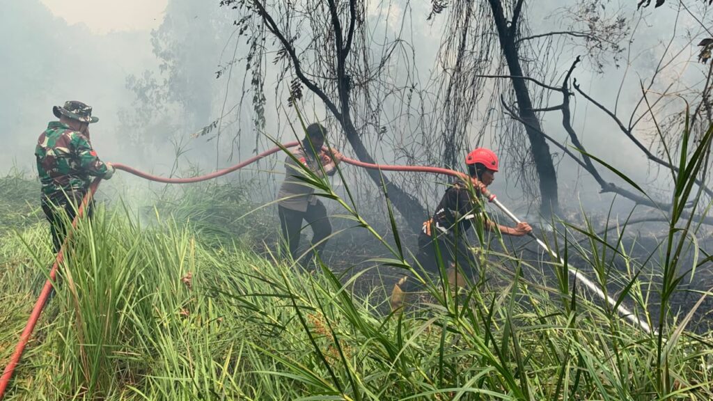 14 Oktober, Kebakaran Lahan 1,5 Hektare di Batulicin Berhasil Dipadamkan 1
