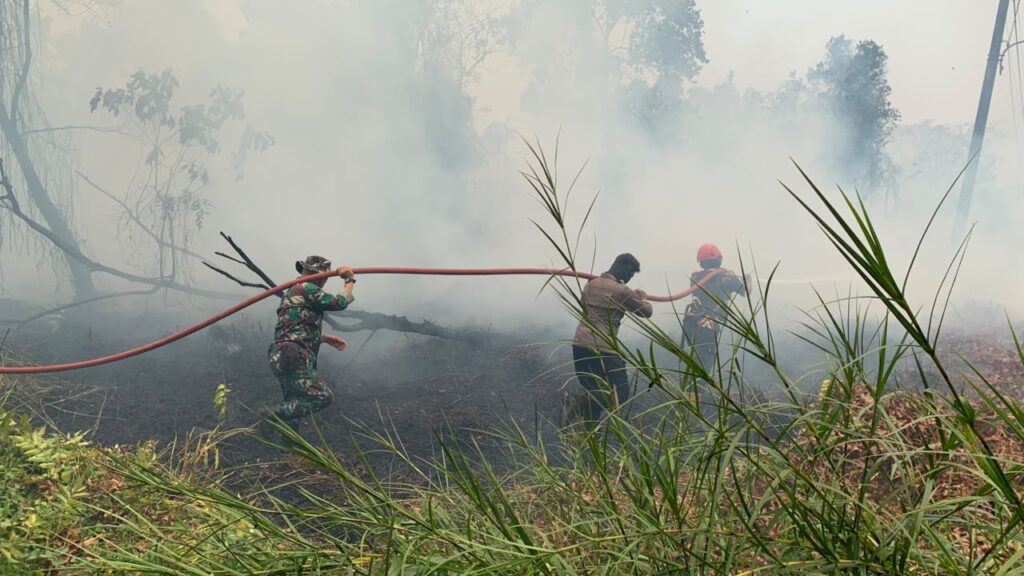14 Oktober, Kebakaran Lahan 1,5 Hektare di Batulicin Berhasil Dipadamkan 3