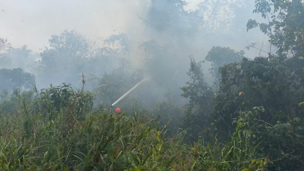 23 Oktober, Kebakaran Lahan 1 Hektare di Batulicin Berhasil Dipadamkan Satgas Karhutla 1