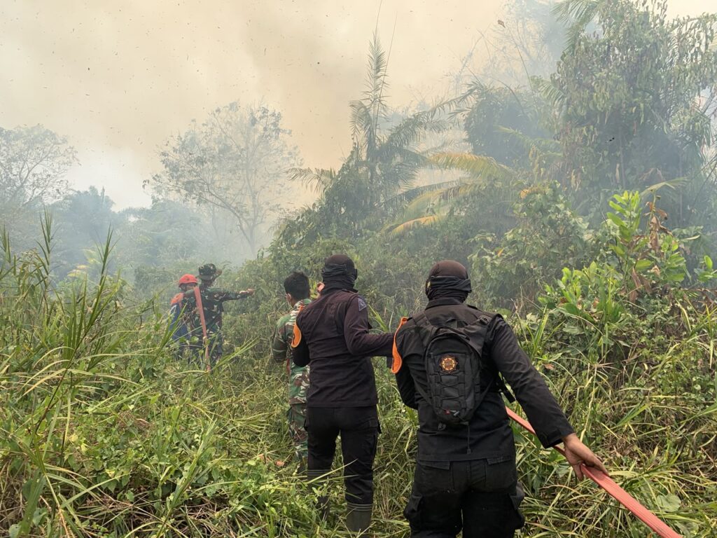 23 Oktober, Kebakaran Lahan 1 Hektare di Batulicin Berhasil Dipadamkan Satgas Karhutla 2