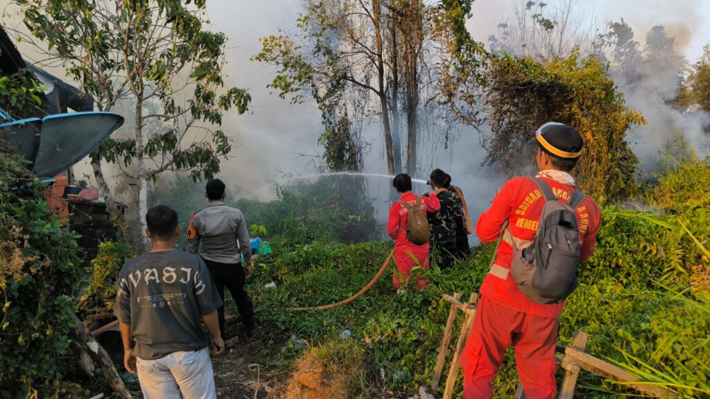 22 Oktober, Kebakaran Lahan di Perumahan Rabbani Batulicin, 1,5 Hektare Terbakar 1