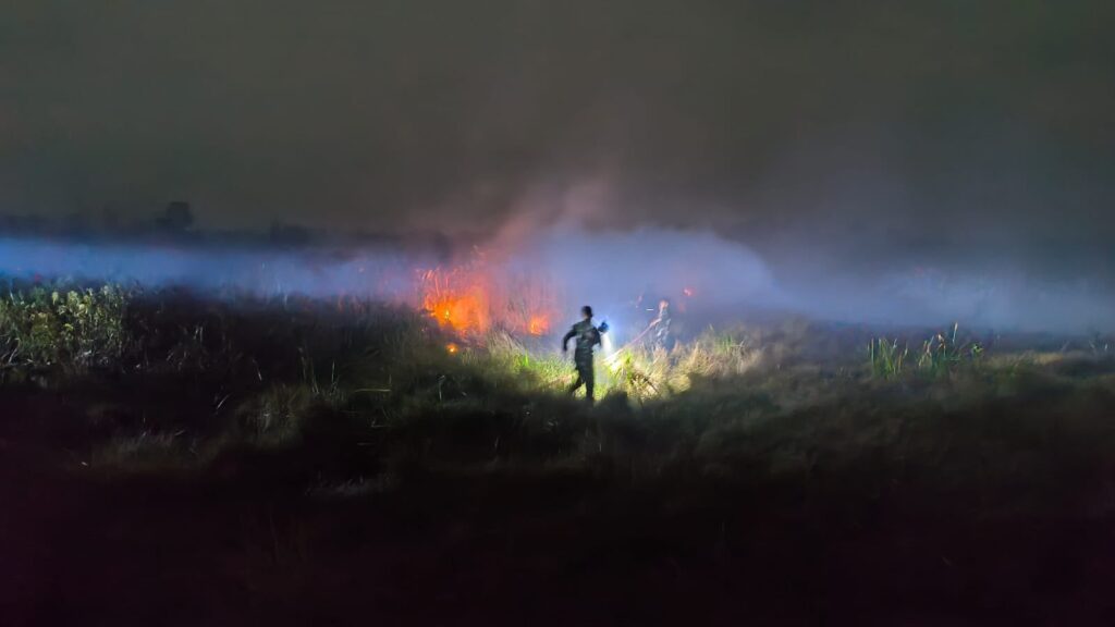 25 Oktober, Kebakaran Lahan 1 Hektare di Kusan Hilir Berhasil Dipadamkan 1