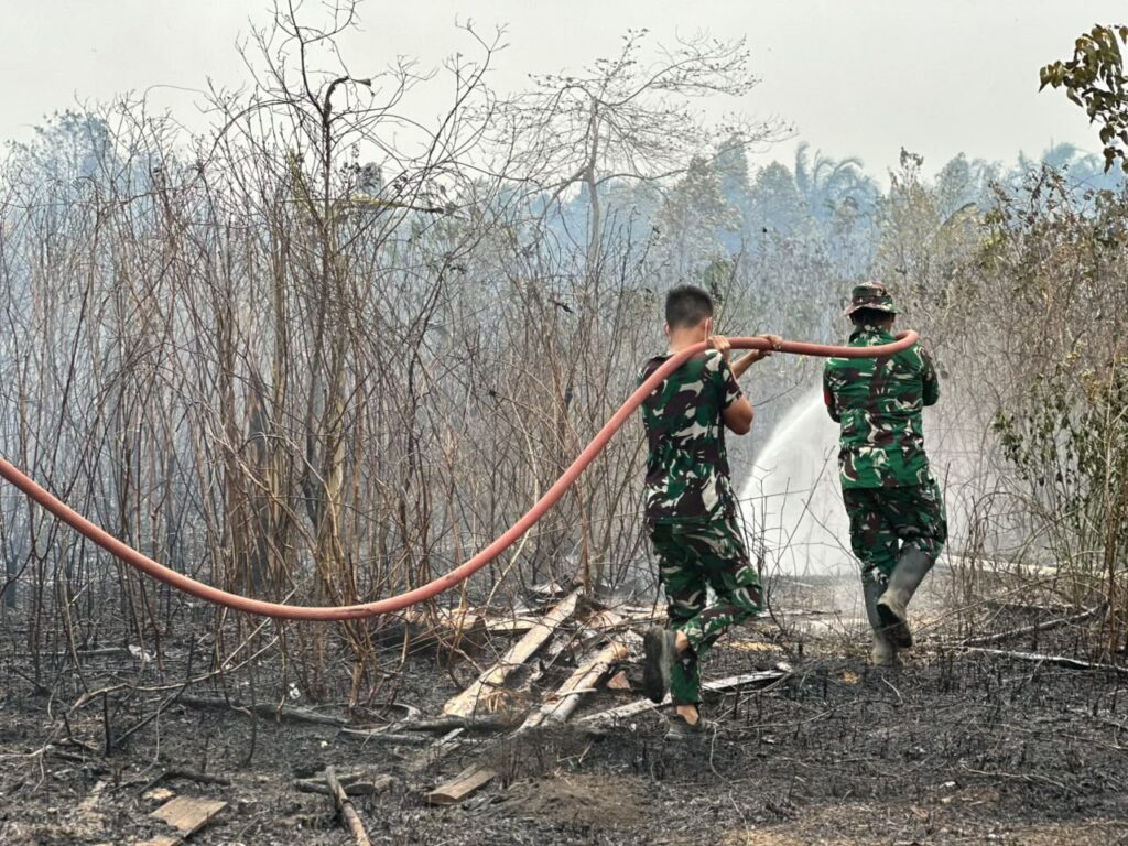 25 Oktober, Kebakaran Lahan 5 Hektare di Simpang Empat, 3 Hektare Berhasil Ditangani 2